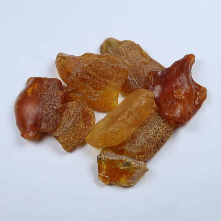 rough baltic amber specimens 6