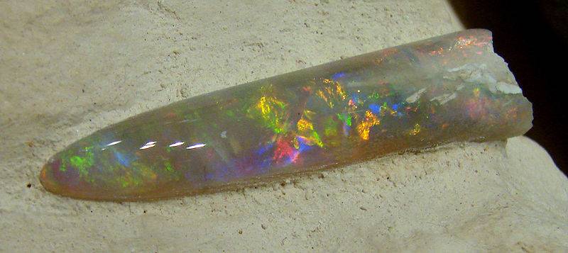 Opalised Belemnite Fossil from Coober Pedy