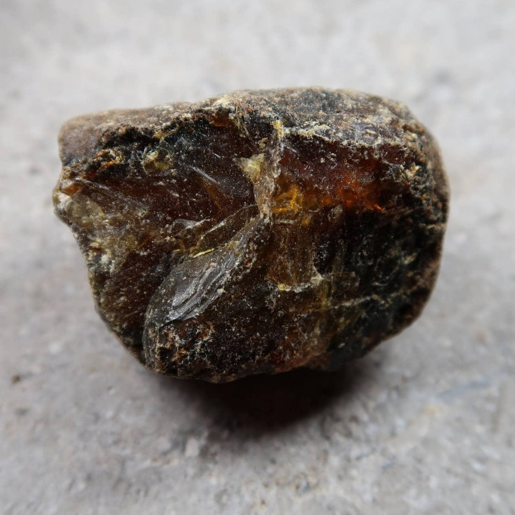 Black Amber Specimens (1)