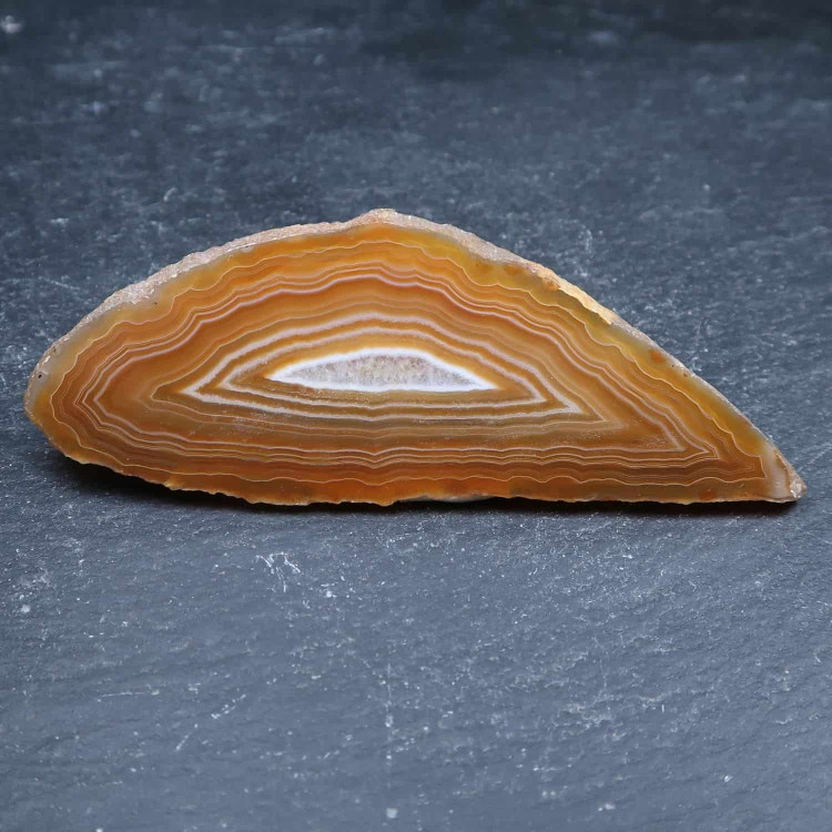 natural undyed agate slices 2