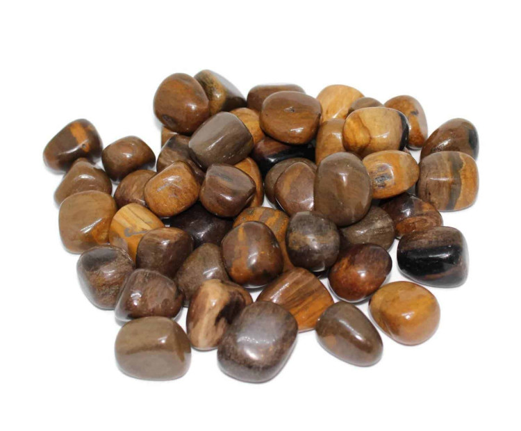 Small Petrified Wood Tumblestones - 10-20MM