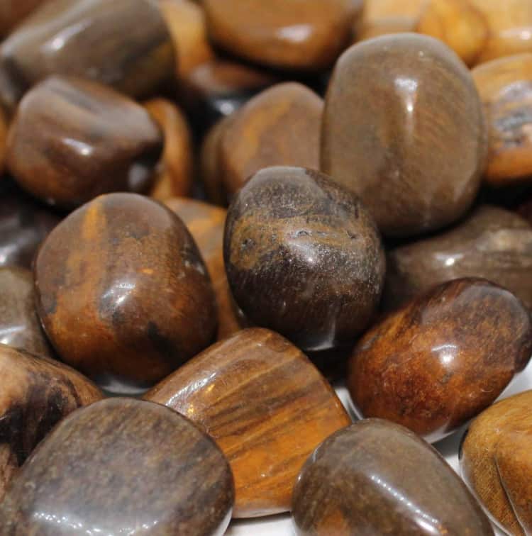 Small Petrified Wood Tumblestones - 10-20MM