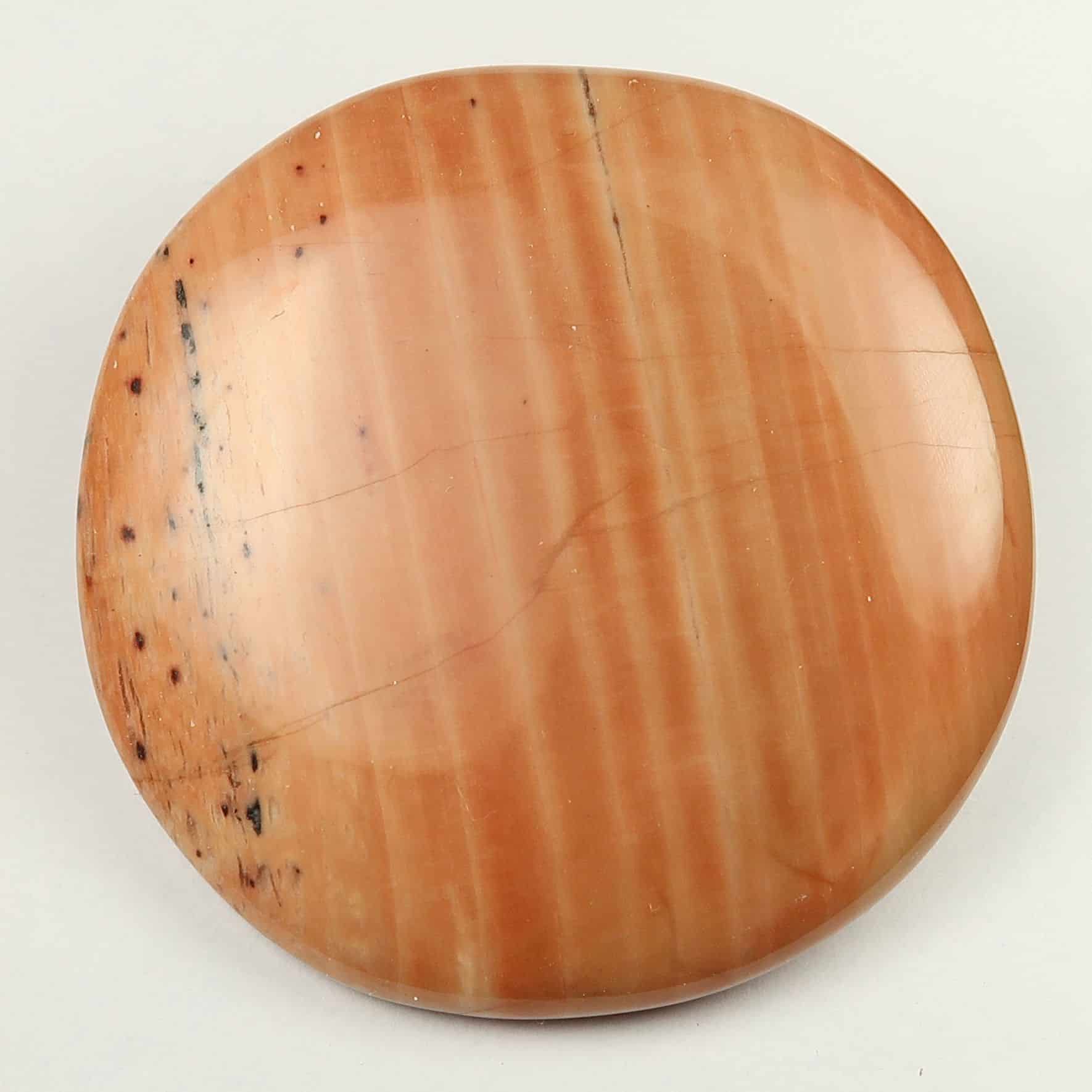 Petrified Wood Palmstones Buy Petrified Wood Palmstones Online UK
