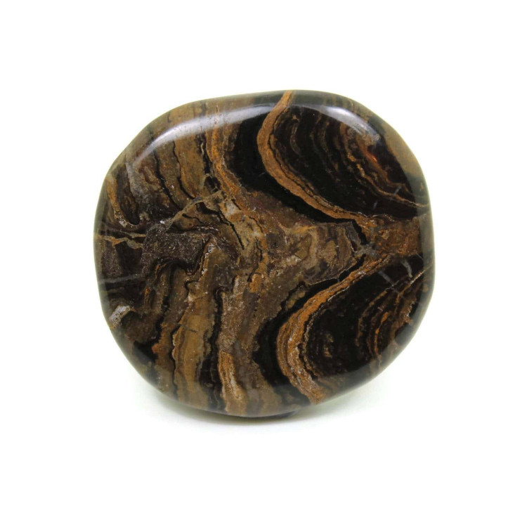 Stromatolite Palmstones