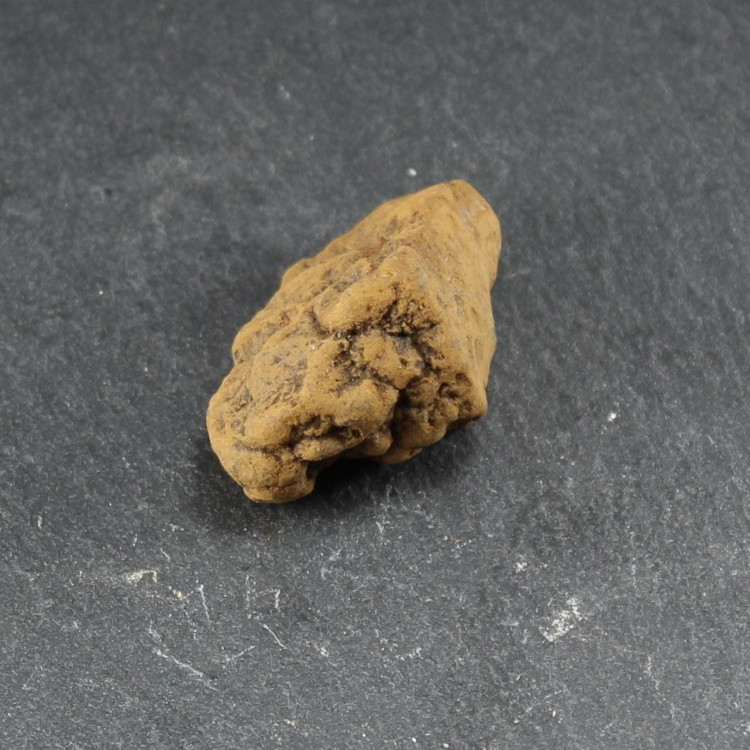 Common Chondrite Meteor