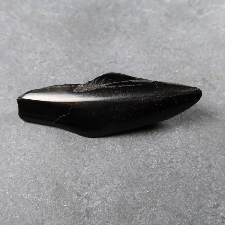 Polished Whitby Jet pieces