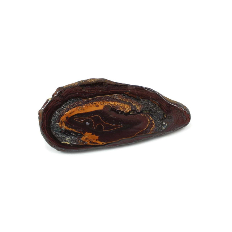 Polished Yowah Nut Opal specimens from Australia