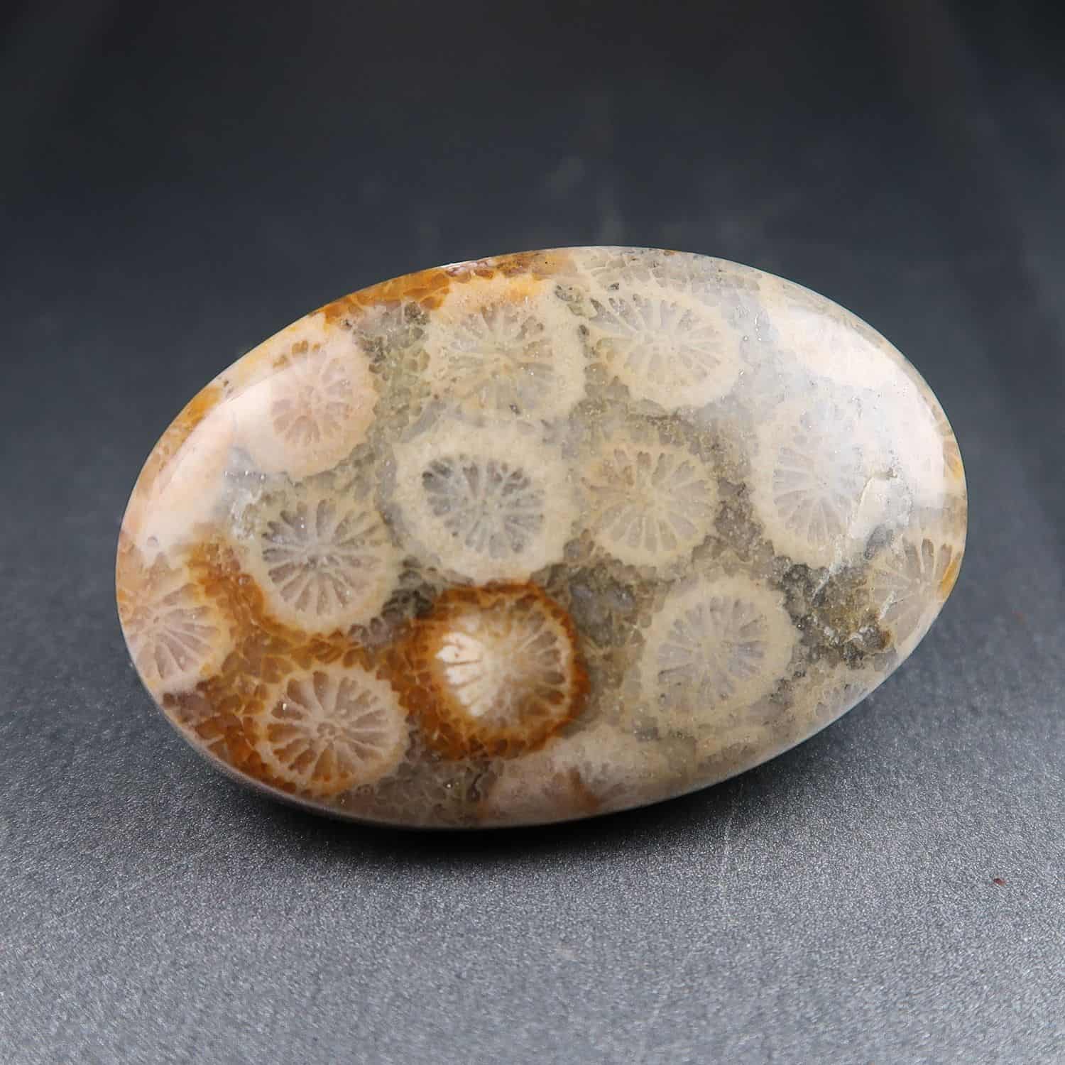 Spider Web Fossil Coral Cabochon Pair...Oval Cabochon...28x12x4 mm...26 Cts...#D9710