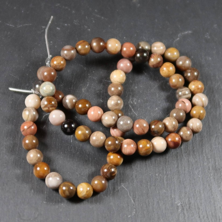 Petrified Wood Beads (5)