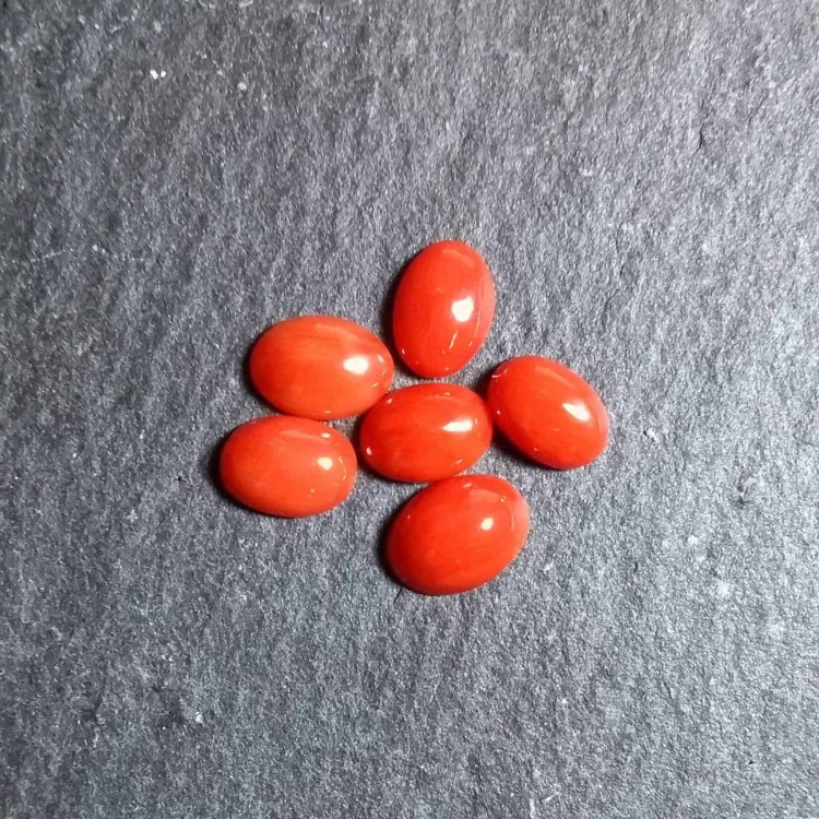 Oval Red Coral Cabochons