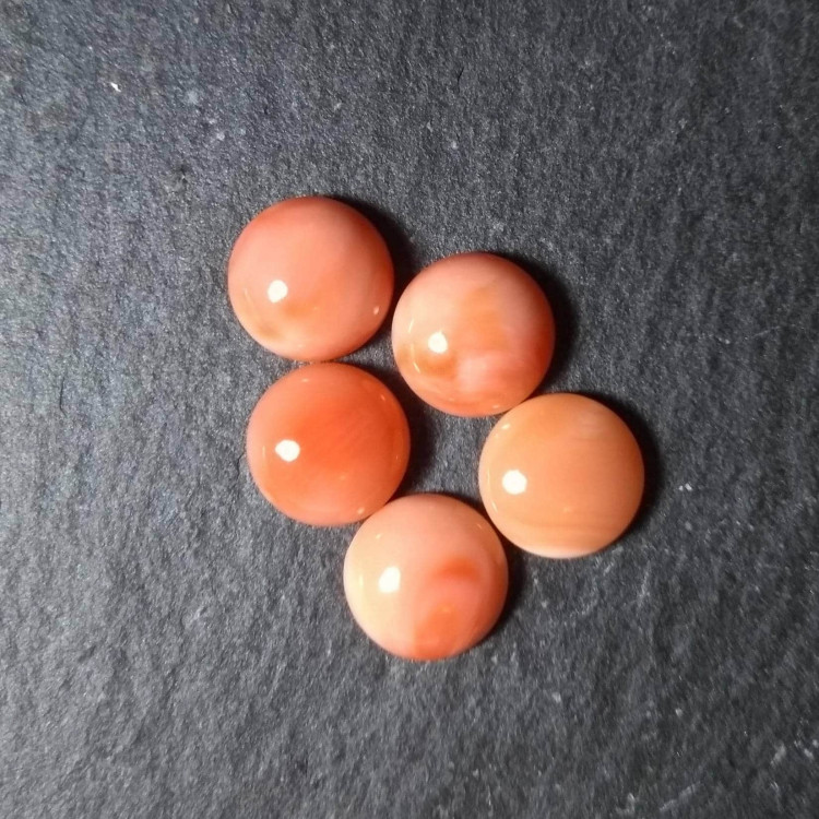 Round Pink Coral Cabochons