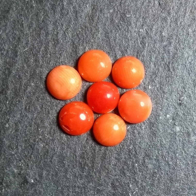 Round Red Coral Cabochons