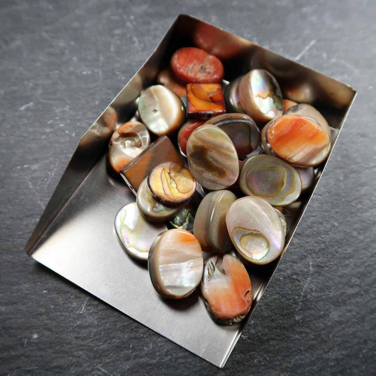 shell bead mixes