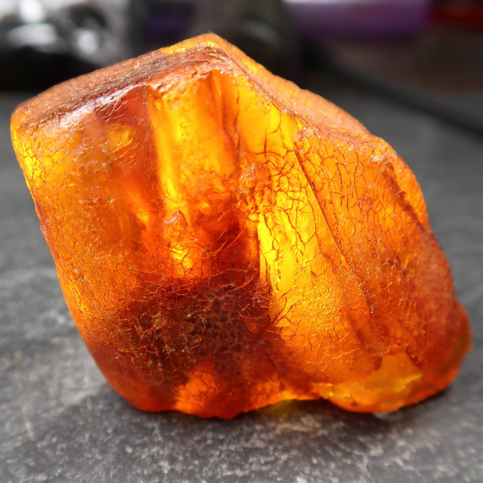 Baltic Amber Specimens - Buy Amber Display Pieces - UK Shop