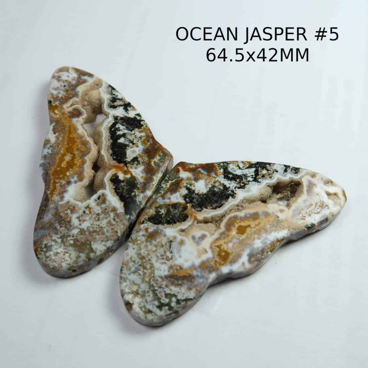 Ocean Jasper Butterfly Cabochons #5