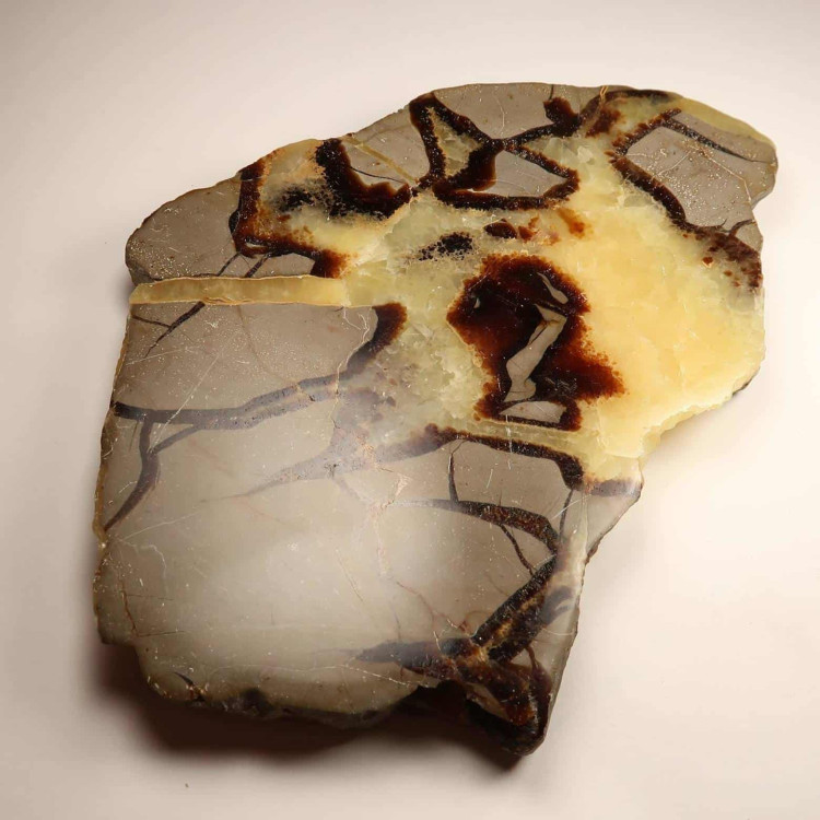 septarian slices