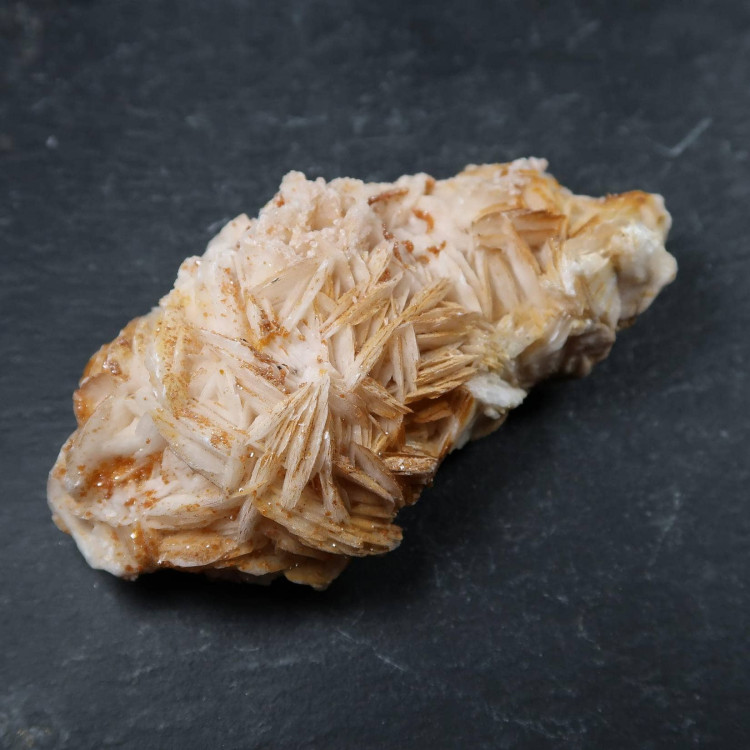 Specimen piece of Vanadinite in Baryte