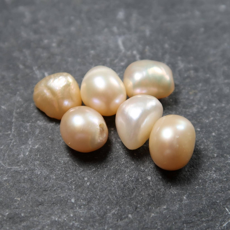 Cultured Pearl Specimens (2)
