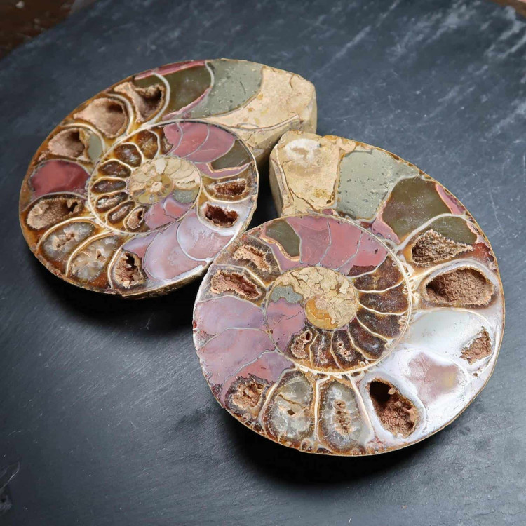 Cut And Polished Ammonite Pairs (4)