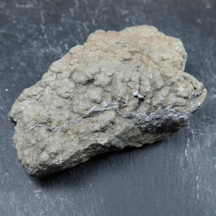 Iron Pyrite Nodules From Charmouth (3)