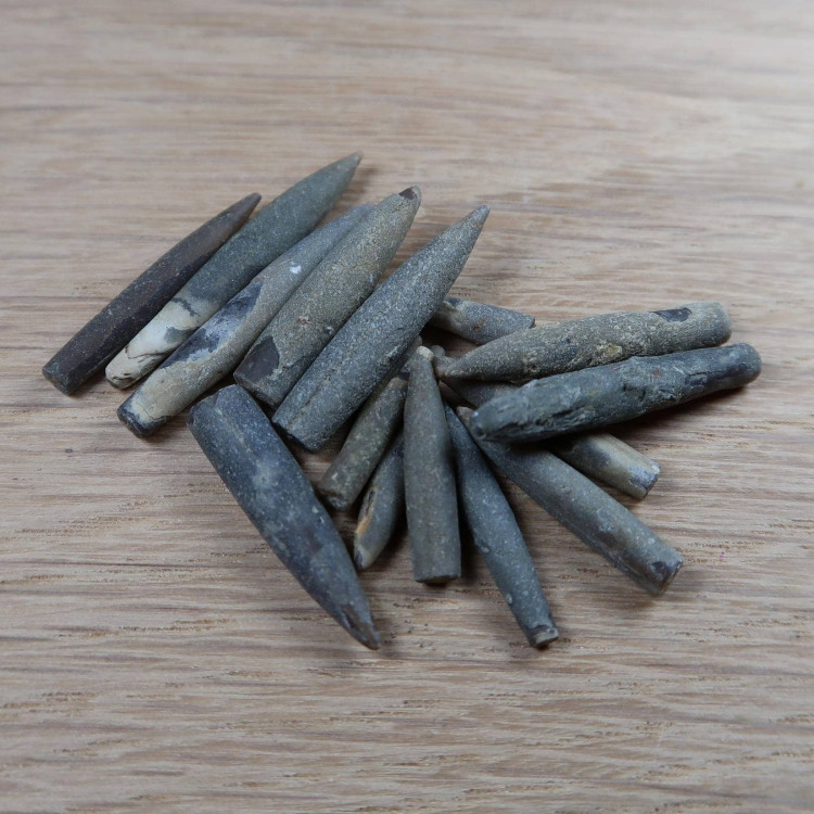 Belemnites From Lyme Regis And Charmouth (5)