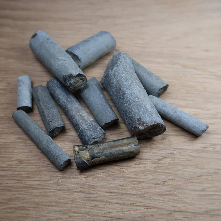 Belemnites From Lyme Regis And Charmouth (6)