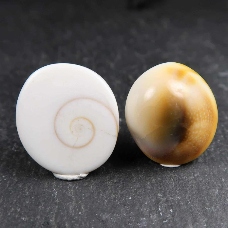 shiva eye cabochons for jewellery makers