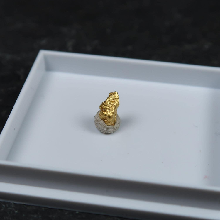 gold nugget from laverton australia 5