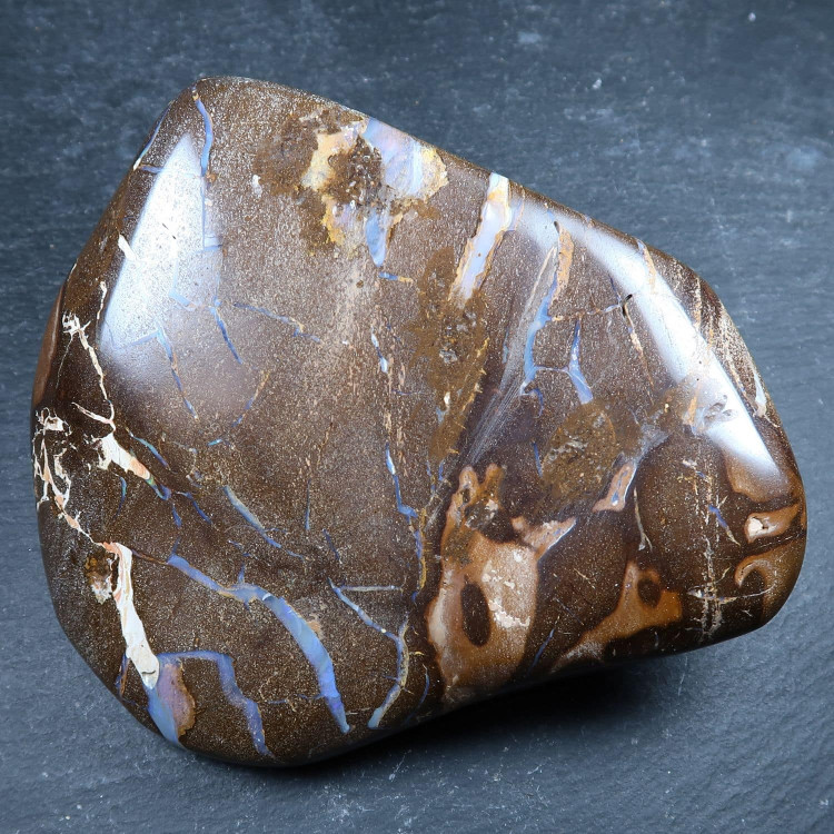 polished boulder opal specimen from australia