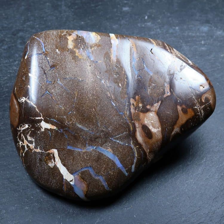 polished boulder opal specimen from australia 6