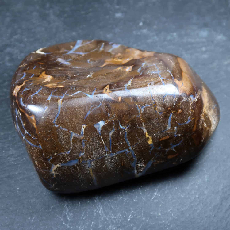polished boulder opal specimen from australia 8