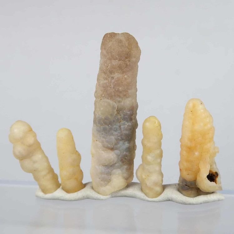 botryoidal chalcedony stalactite fragments