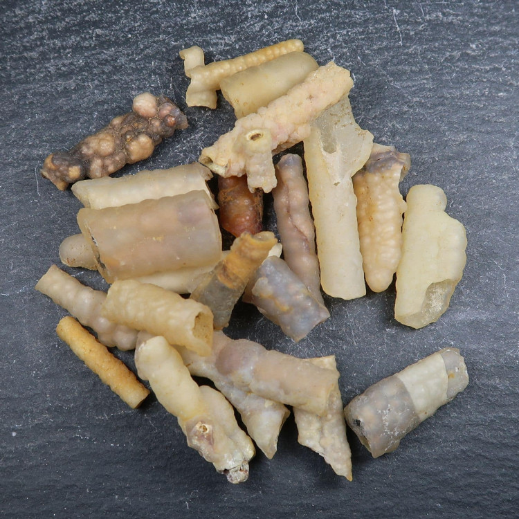 botryoidal chalcedony stalactite fragments 6