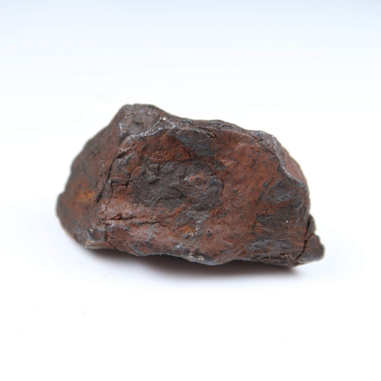 canyon diablo meteorite specimens (1)