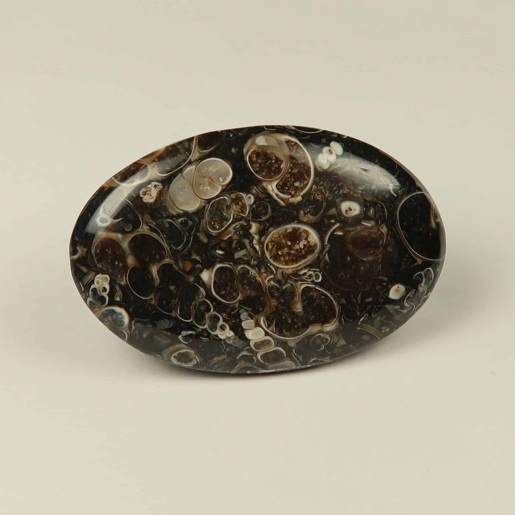 Cabochon Agate Turitelle Naturelle - 17 Carats - 28x21x4,5mm