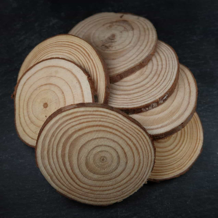 poplar wood slices for pyrography 2