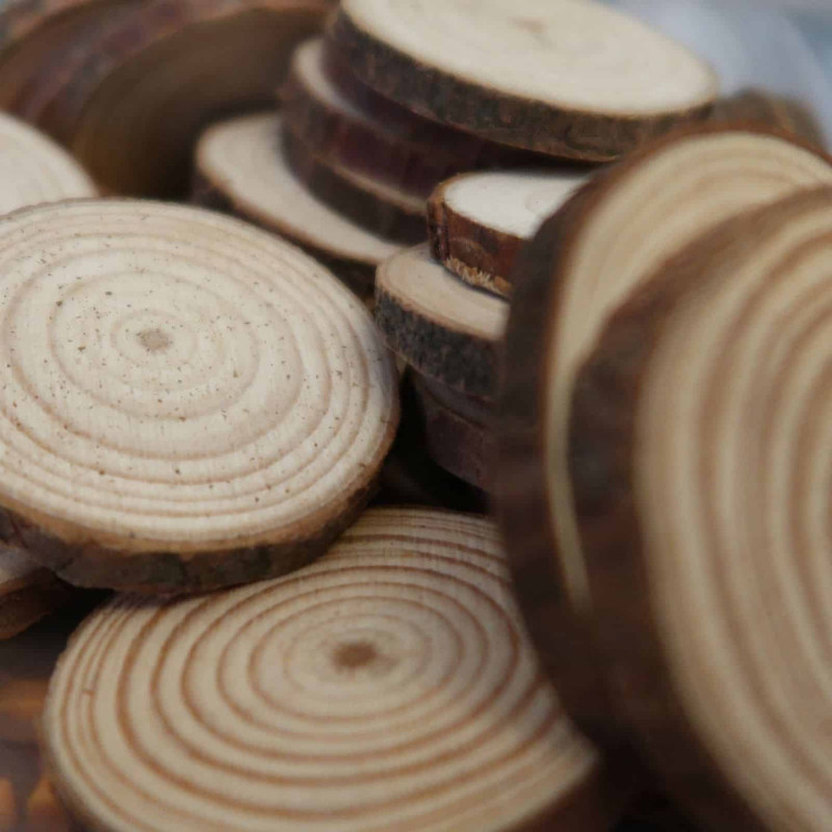 wooden slices for pyrography woodburning