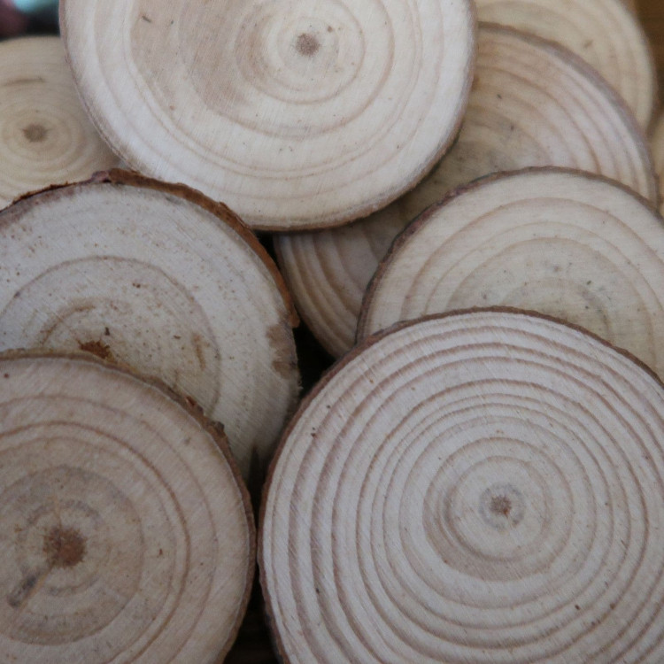 wooden slices for pyrography woodburning 2