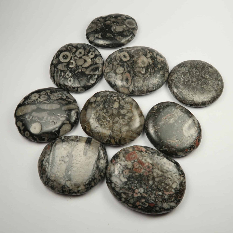 Crinoidal Limestone palmstones | Buy polished Crinoids | UK