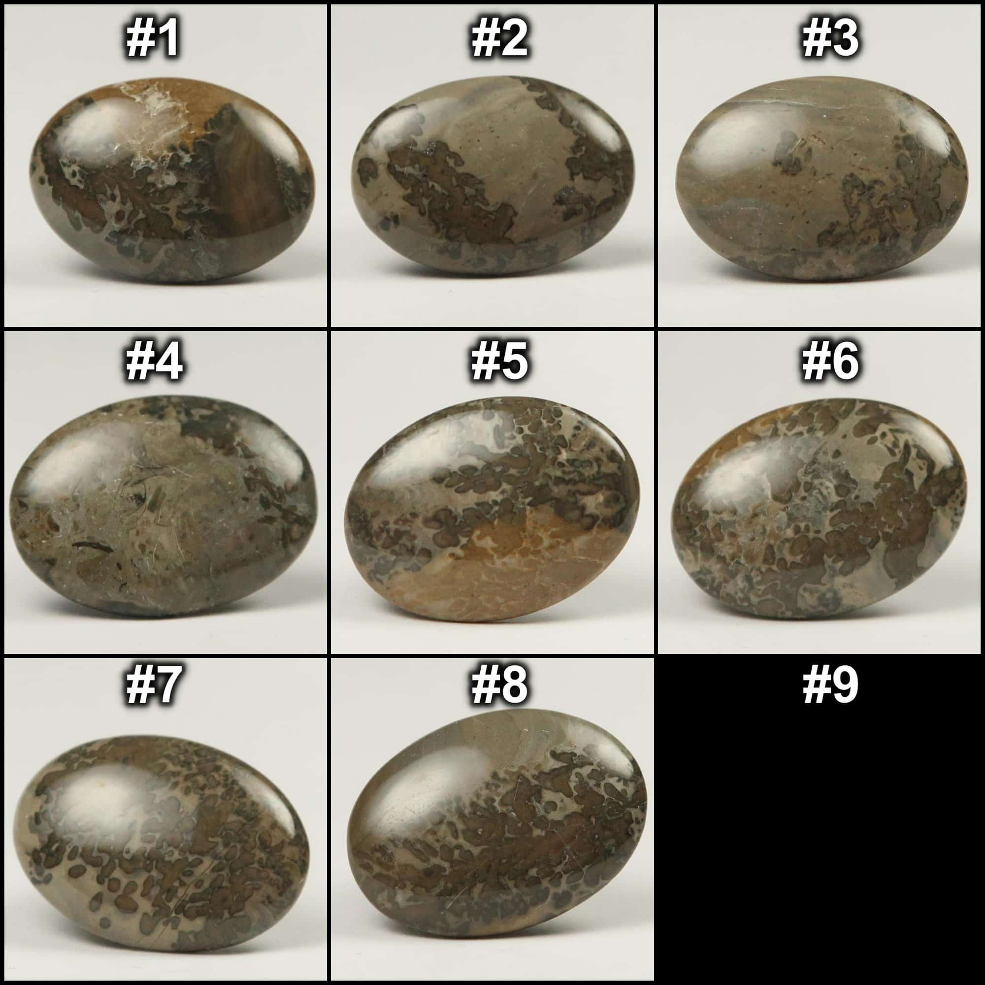 Cotham Marble cabochons for jewellery making or inlay