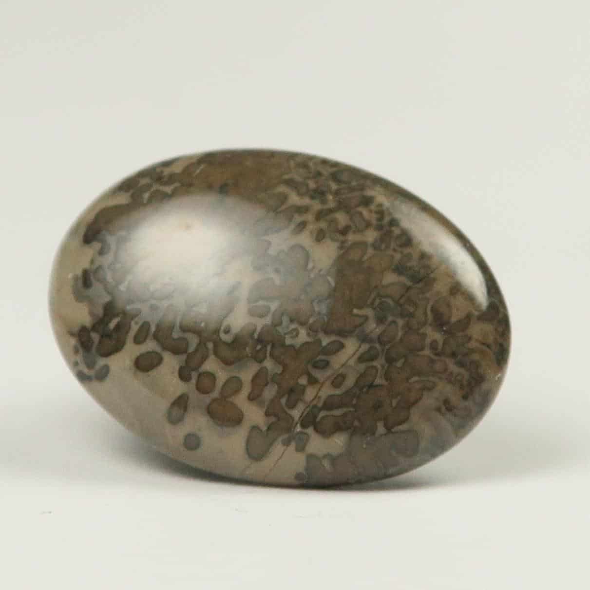 Cotham Marble cabochons for jewellery making or inlay