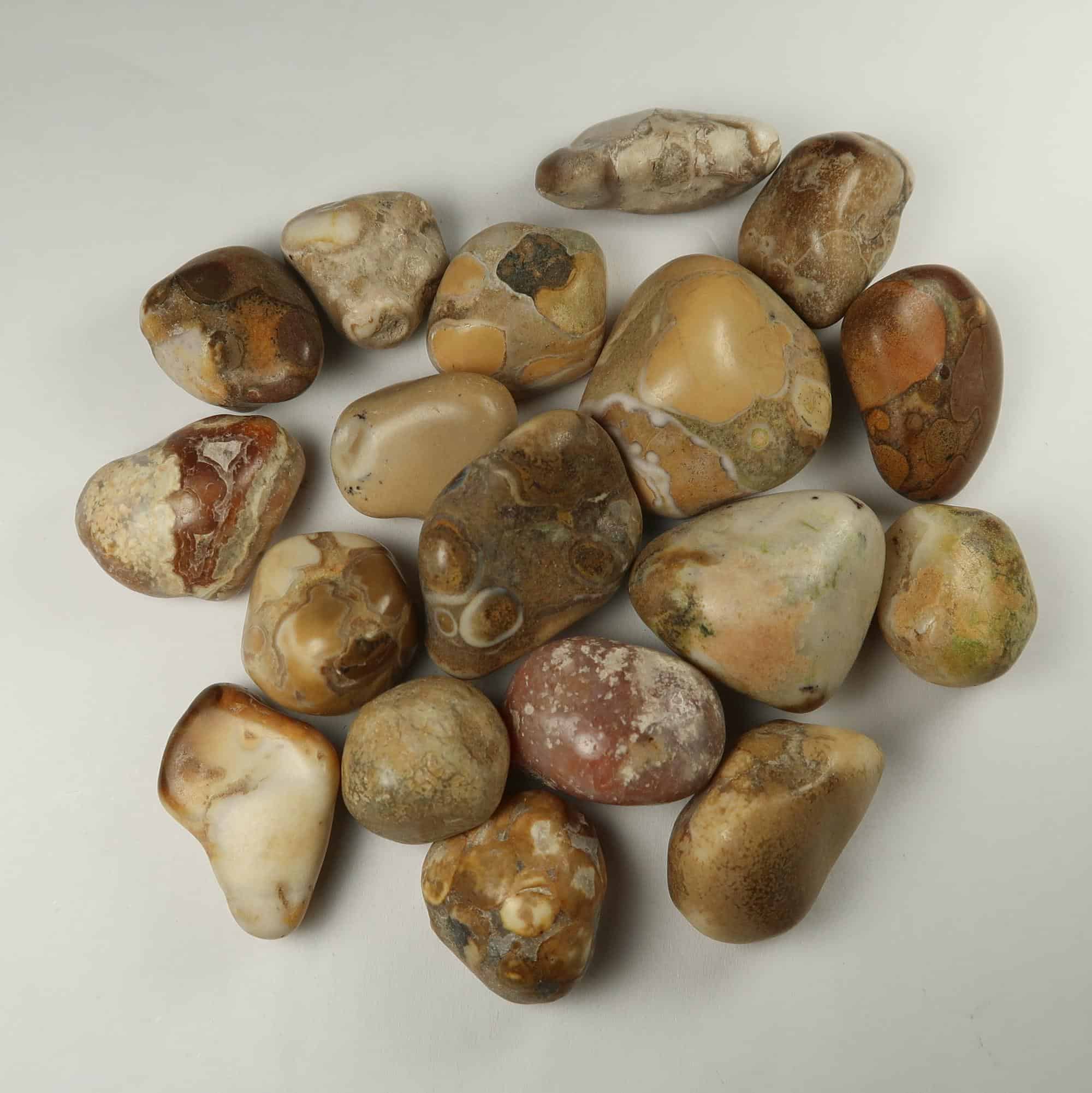 Puddingstone conglomerate tumblestones Buy tumbled stones online UK
